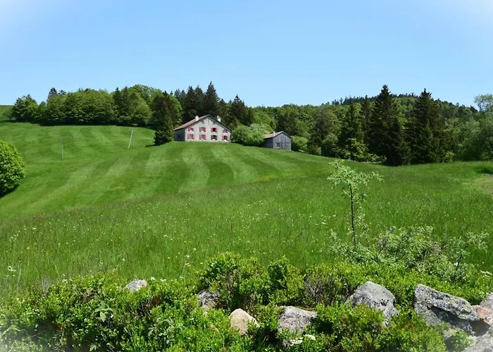 Maison De Style Chalet Individuelle Le Rouge Feigne A La Bresse